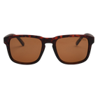 I-SEA Logan Tort/Brown Polarized Lens Front