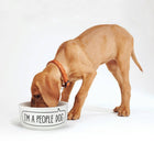 Dog eating in Dog Bowl - Dog Person