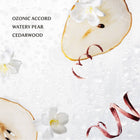 Rainwater Power Mist Hydrating Hand Sanitizer Top Note