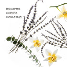 Pure Lavender Power Mist Hydrating Hand Sanitizer Top Notes