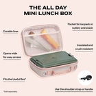 Stanley All Day Mini Lunch Box 4.2QT - Rose Quartz with features listed on the background