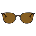 Ray-Ban Elliot Polished Havana, Brown Lenses