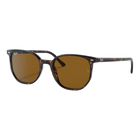 Ray-Ban Elliot Polished Havana, Brown Lenses Side View