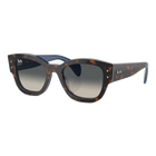 Ray-Ban Jorge Polished Havana Grey On Blue, Grey Lenses Side View