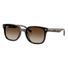 Ray-Ban RB4461D Polished Havana, Gradient Brown Lenses Side View