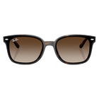 Ray-Ban RB4461D Polished Havana, Gradient Brown Lenses