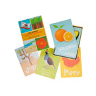 Set of colorful educational cards with various illustrations and text on a white background