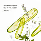 Cucumbers with lily of the valley and sea salt on a white background