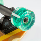 Sector 9 Offshore Baja 39.5