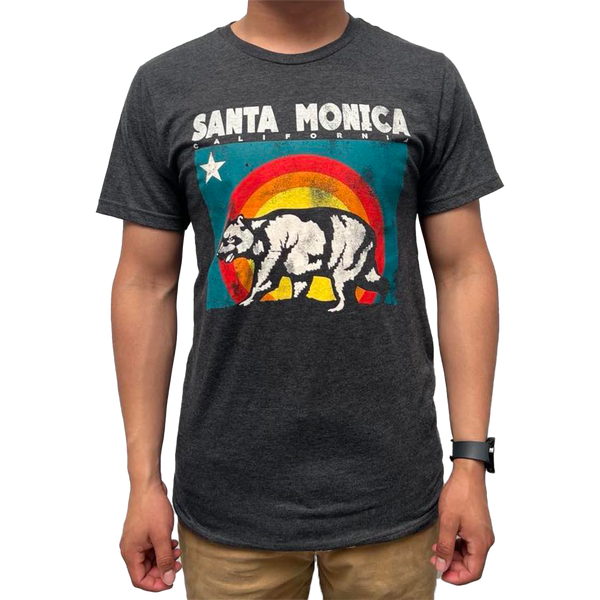 Santa Monica California Wave Summit Tee (Front)