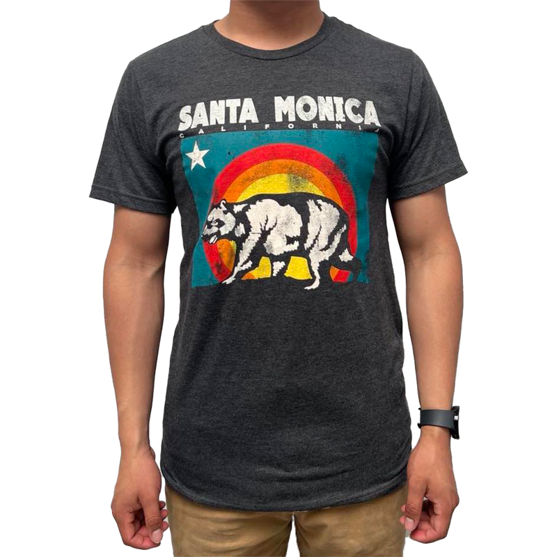 Santa Monica California Wave Summit Tee (Front)