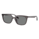 RB4439D Transparent Grey, Dark Grey Lenses Back