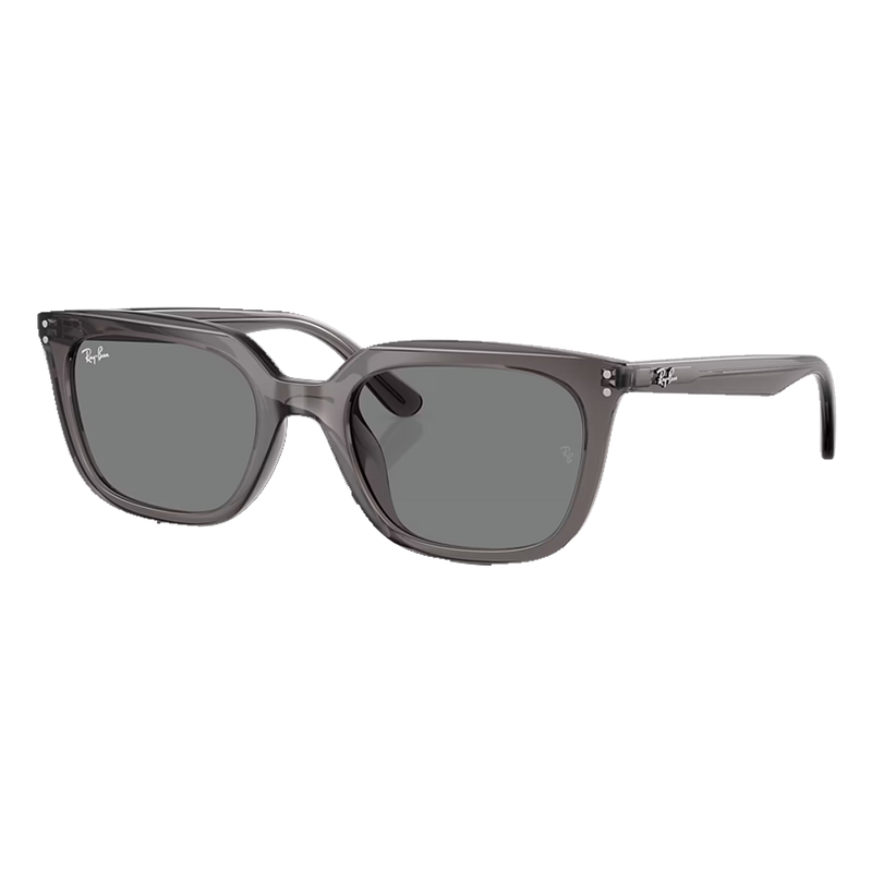 RB4439D Transparent Grey, Dark Grey Lenses Back