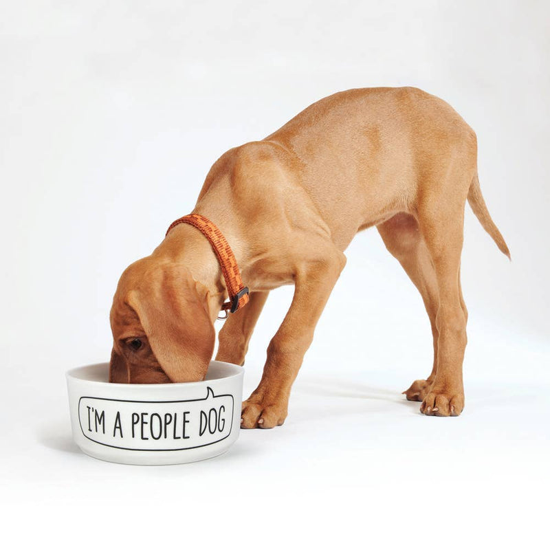 Dog eating in Dog Bowl - Dog Person