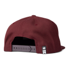 Salty Crew Tailgate Burgundy 6 Panel back