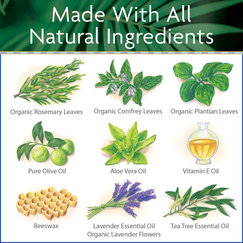 All Natural Surfer's Salve - .5 oz. Stick Ingredients