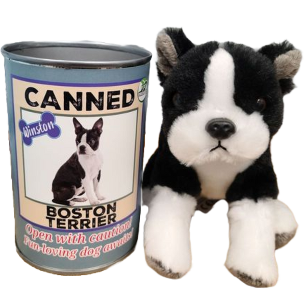Winston the Canned Boston Terrier