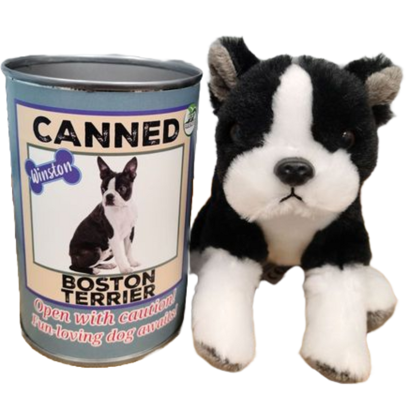 Winston the Canned Boston Terrier
