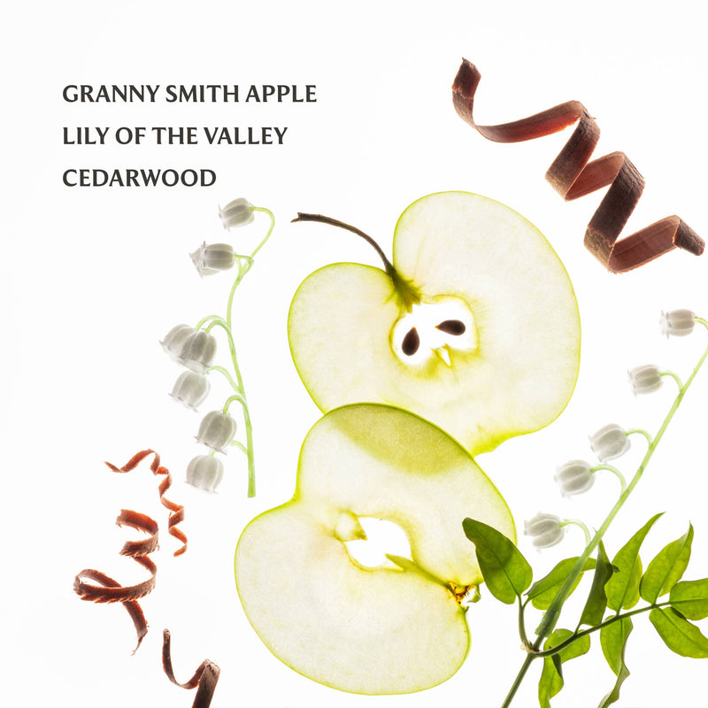 Applelicious Power Mist Hydrating Hand Sanitizer Top Notes