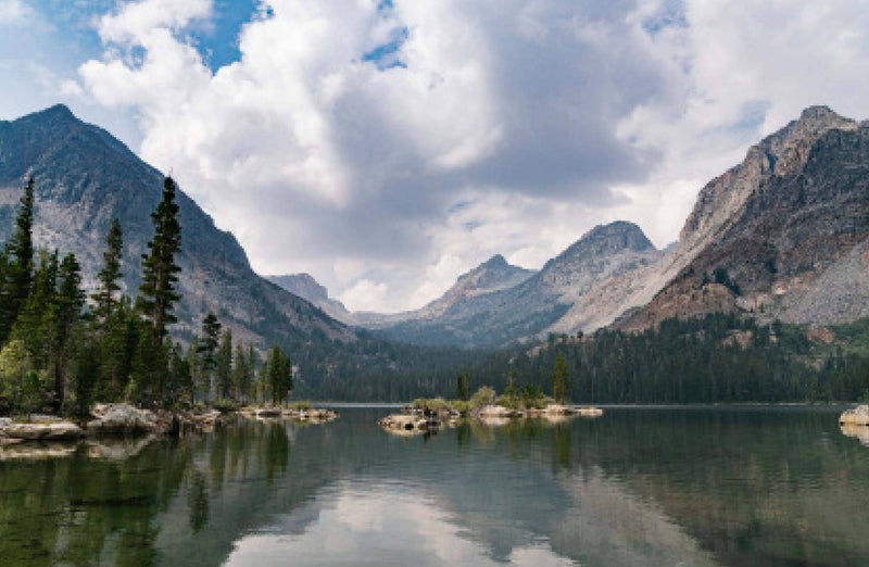 Places We Swim California