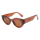 Brown sunglasses with a visible brand logo on a white background