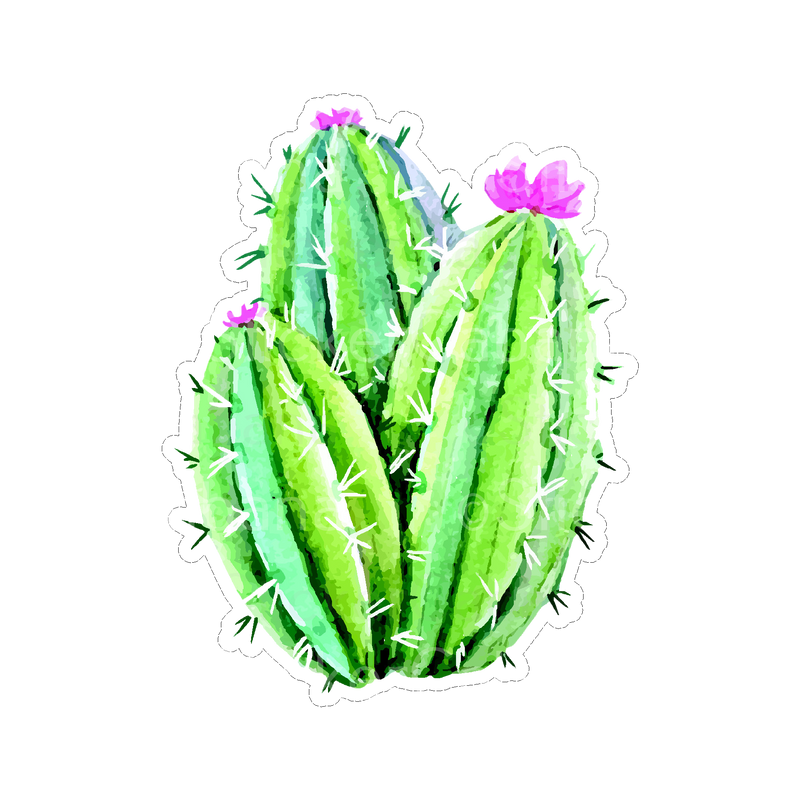 Sticker Cabana Cactus With Pink Top