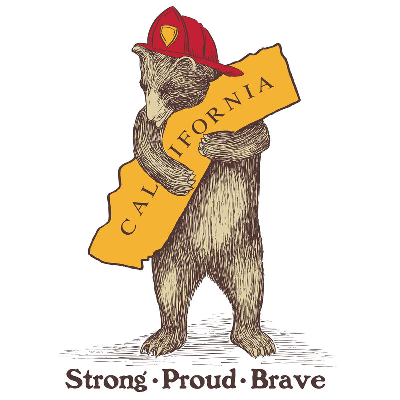 CA Firefighter Bear 