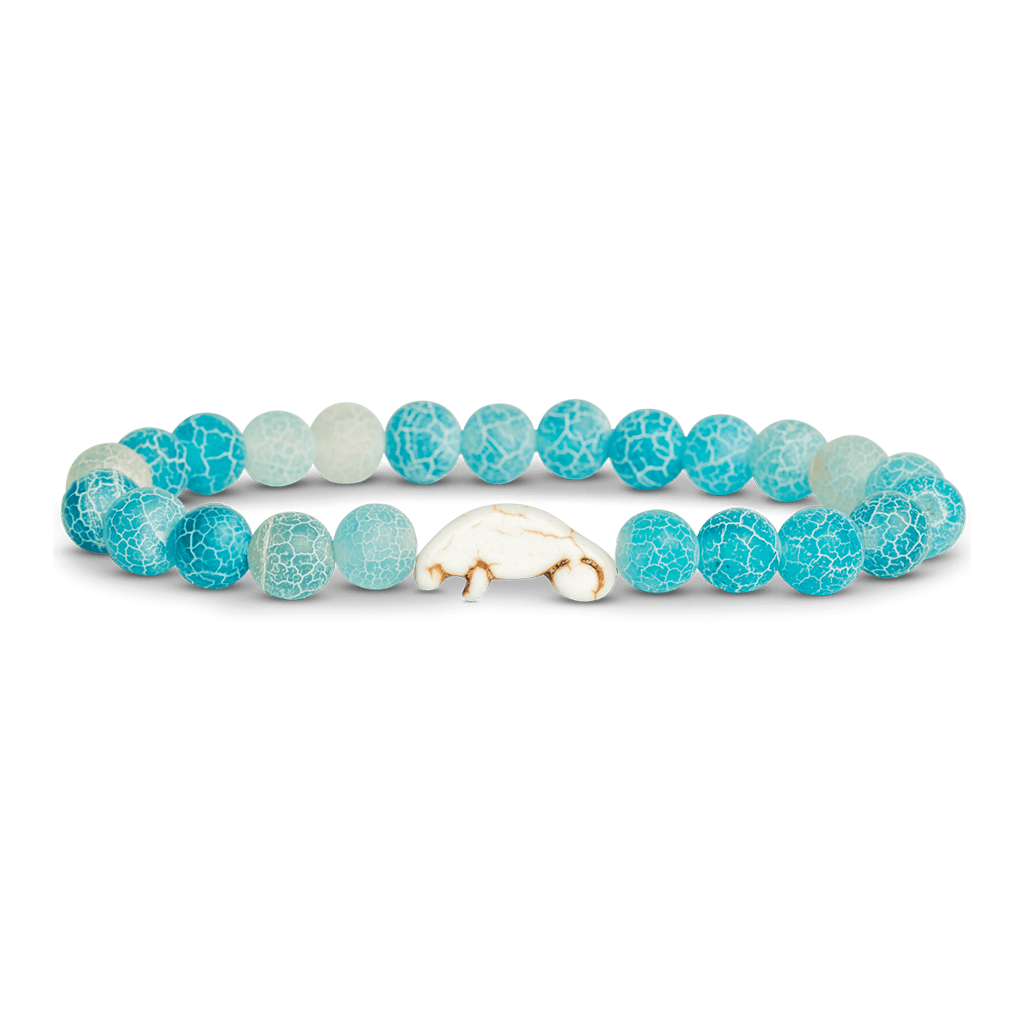 FAHLO - The Original Animal Tracking Bracelet - Spring Fair 2023