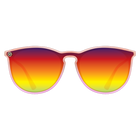 Blenders - North Park X2 Epic Dreamer Polarized