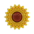 Sticker Cabana BS Sunflower