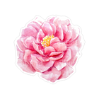 Sticker Cabana Pink Peony Flower