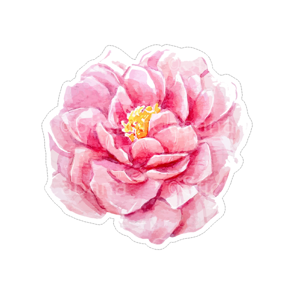 Sticker Cabana Pink Peony Flower