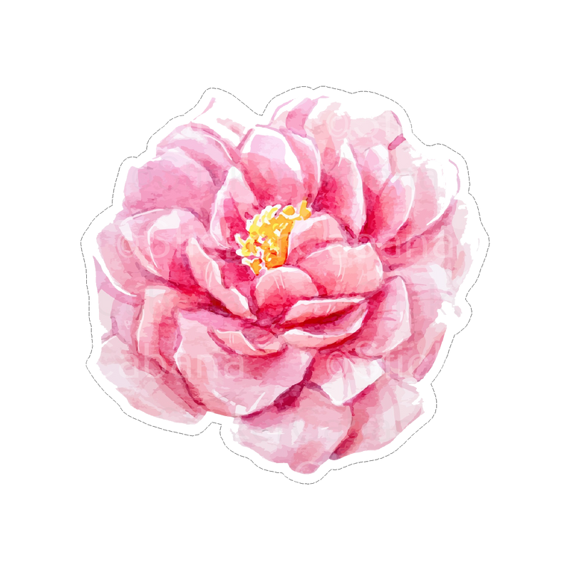 Sticker Cabana Pink Peony Flower