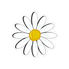 Sticker Cabana BS White Daisy With Yellow Center