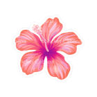 Sticker Cabana Pink Hibiscus Flower