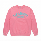 Santa Monica California Crewneck Sweater Watermelon