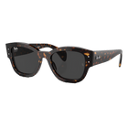 Ray-Ban Jorge Polished Havana, Black Lenses Side View