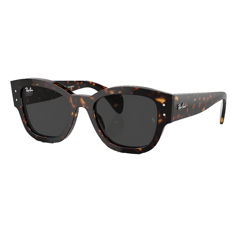 Ray-Ban Jorge Polished Havana, Black Lenses Side View