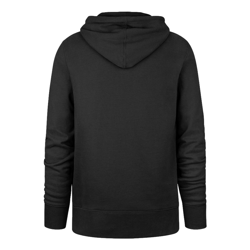 Black hoodie shown from the back on a white background