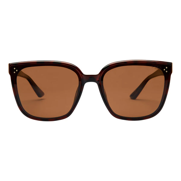 I-SEA Madi Tort / Brown Polarized Lens