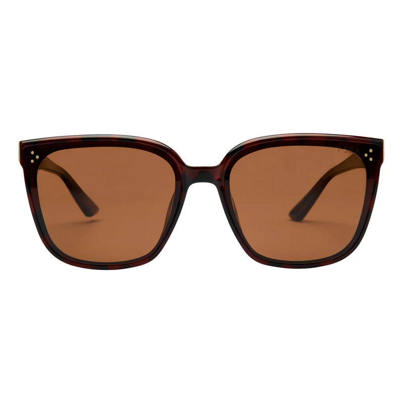I-SEA Madi Tort / Brown Polarized Lens
