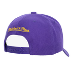 Purple Los Angeles Lakers Secondary Roses Pro Snapback Hat - Back