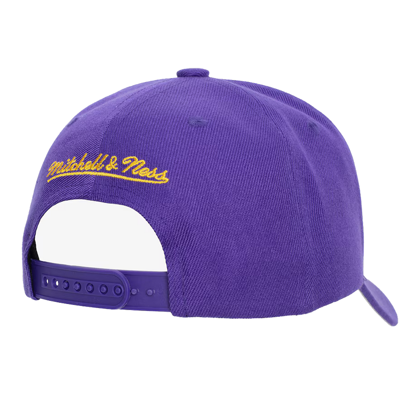 Purple Los Angeles Lakers Secondary Roses Pro Snapback Hat - Back