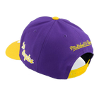 NBA Team Script 2.0 Pro Snapback HWC Los Angeles Lakers Back