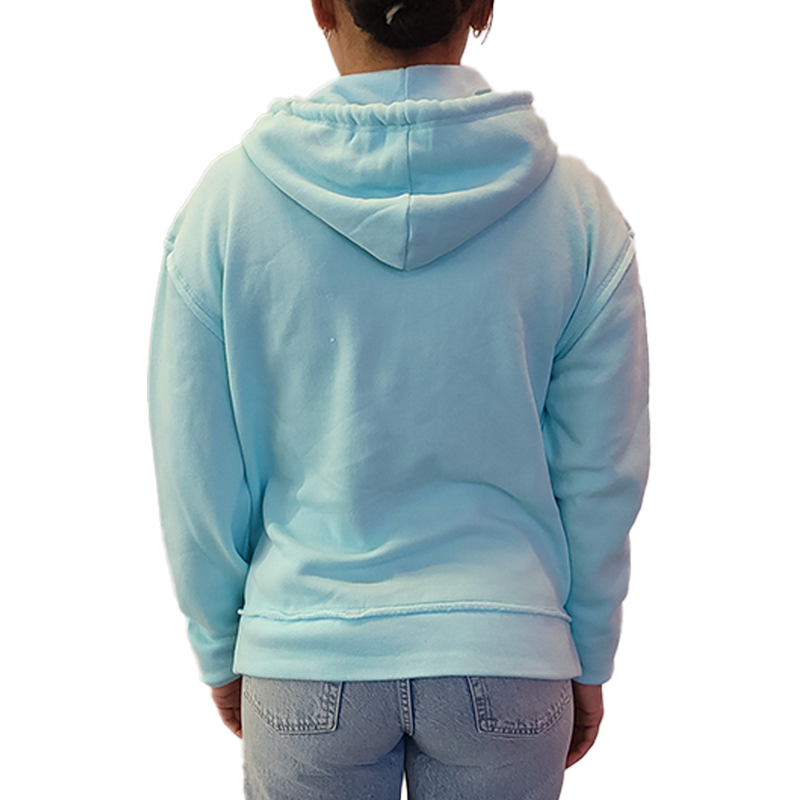 Santa Monica Pastel Beach Scene Pullover Back