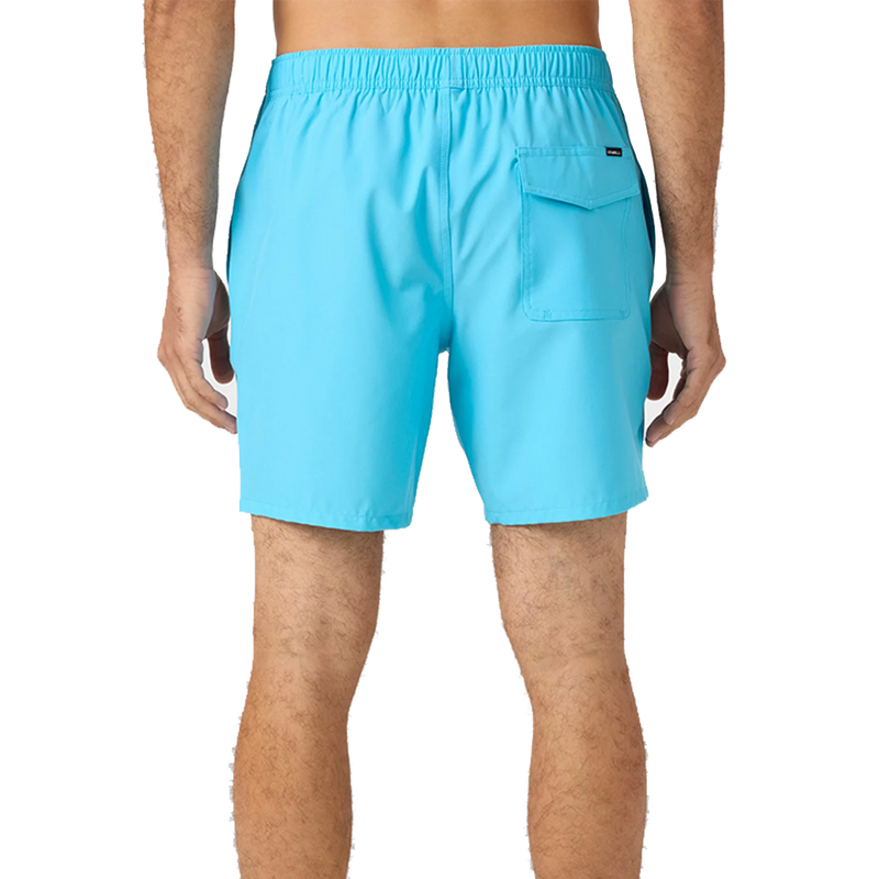 O'Neill Lennox Hermosa Solid 17" Swim Trunks Aquarius Back