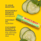 Burt's Bees Cucumber Mint lip balm with cucumber slices on a yellow background