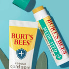 Two Burt's Bees products on a blue background with leaves.