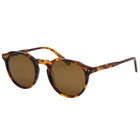 I-SEA Watty Tort Acetate/ Brown Polarized Lens (Side)