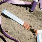 Strap with a brown buckle and gold clasp on a sandy surface